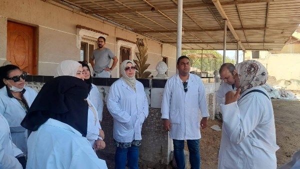 بيطري الغربية: تحصين 45 ألف رأس ماشية ضد الحمى القلاعية والوادي المتصدع بيطري الغربية: تحصين 45 ألف رأس ماشية ضد الحمى القلاعية والوادي المتصدع