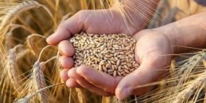 روسيا
      تحقق
      ثاني
      أكبر
      محصول
      من
      الحبوب
      في
      تاريخها
      خلال
      2023