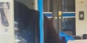 تنفيذ
      عملية
      طعن
      داخل
      قطار
      في
      لندن
      (فيديو)