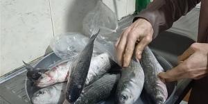 لتناولها
      بأمان
      في
      العيد،
      شروط
      أساسية
      عند
      شراء
      الأسماك
      المملحة