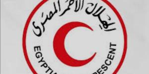 الهلال الأحمر بسيناء: 700 ألف ساعة عمل لخدمة غزة منذ 7 أكتوبر