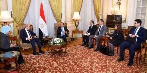 خلال لقائه وزير الطيران.. وزير الخارجية: مصر مستمرة في دعم الدول الإفريقية والعربية
