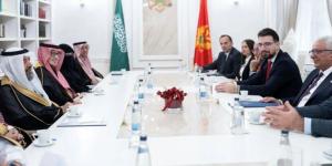 وفد من مجلس الشورى يلتقي رئيس برلمان جمهورية الجبل الأسود - المساء الاخباري