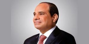 برلماني: مشاركة السيسي بقمة أفريقيا فرنسا تعزز مكانة مصر كشريك رئيسي في دعم التنمية بالقارة
