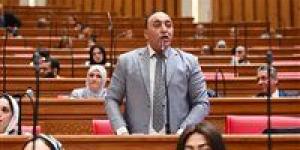 حسام حسن يفتح ملف مبادرة «القرية المنتجة» ويطالب بخطة واضحة للتنفيذ والاستدامة