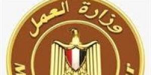 وزارة العمل تعلن عن 48 فرصة عمل بالخارج بمرتبات تصل إلى 1130 دولار شهريًا