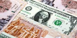 سعر الدولار مقابل الجنيه المصري خلال تعاملات اليوم في البنوك.. آخر تحديث