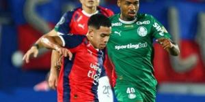 كأس ليبرتادوريس: بالميراس البرازيلي يتعادل مع نظيره سيرو بورتينيو - المساء الاخباري