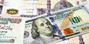 سعر الدولار اليوم الجمعة 14 أغسطس 2026.. استقرار العملة الخضراء بالبنوك