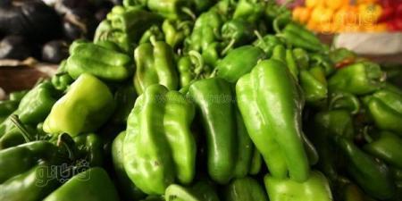 أسعار
      الخضراوات
      اليوم،
      الفلفل
      الرومي
      يرتفع
      لسعر
      23
      جنيهًا
      في
      سوق
      العبور