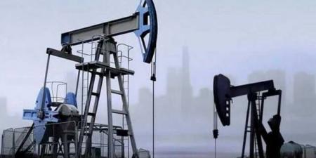 زيادة
      في
      مخزونات
      النفط
      الأمريكية
      بأكثر
      من
      7
      ملايين
      برميل