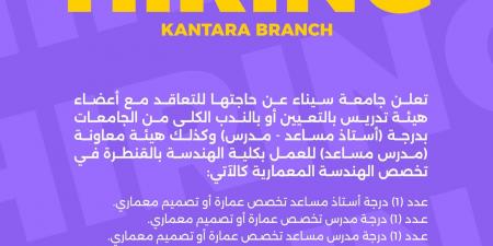 وظيفة جامعة.. جامعة سيناء تعلن عن وظائف أكاديمية لأعضاء هيئة التدريس بمختلف التخصصات