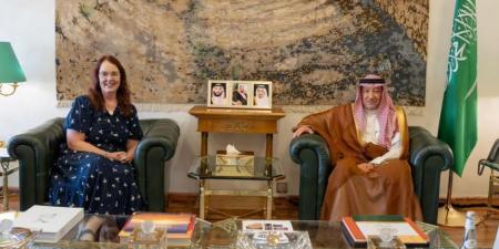 نائب وزير الخارجية والقائم بالأعمال بالسفارة الأمريكية يبحثان العلاقات الثنائية والمستجدات الإقليمية والدولية - المساء الاخباري