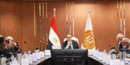 وزير العمل: 2.5 مليار جنيه دعمًا لـ441 ألف عامل عبر صندوق إعانات الطوارئ