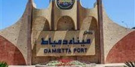 ميناء دمياط يستقبل 12 سفينة ويتداول أكثر من 62 ألف طن بضائع