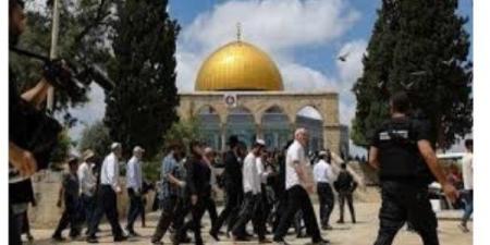 تصعيد جديد وخطوة خطيرة في الأقصى.. السماح للمستوطنين بإدخال كتب الصلاة وأداء طقوس جماعية - المساء الاخباري