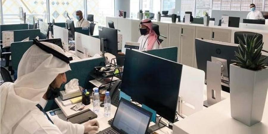 2.31
      مليون
      مواطن
      سعودي
      يعملون
      بالقطاع
      الخاص..
      و13
      ألف
      وظيفة
      جديدة
      خلال
      نوفمبر