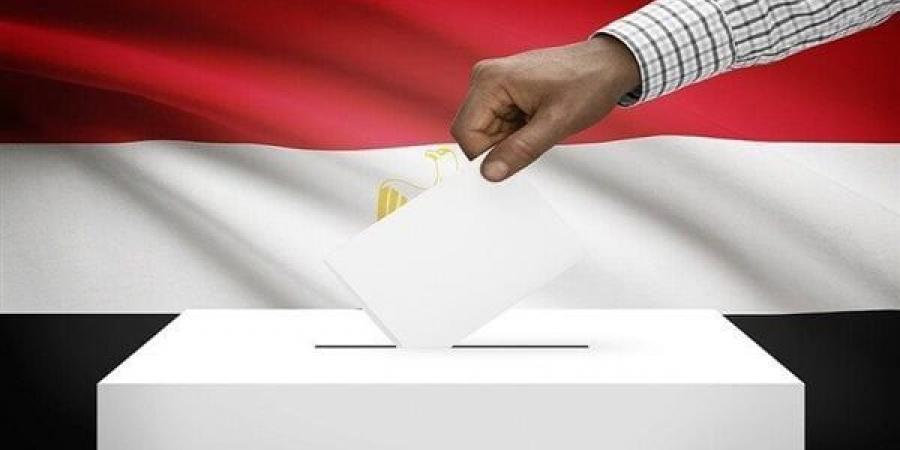 قانون
      الانتخابات
      الرئاسية،
      ضوابط
      الدعاية
      الانتخابية
      للمرشحين
      وموعد
      توقفها