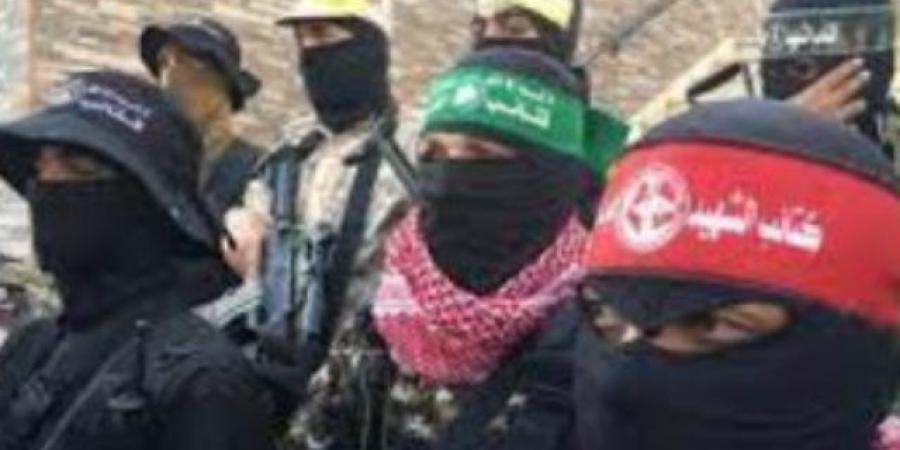 القاهرة الإخبارية: فصائل فلسطينية تستهدف 3 آليات إسرائيلية بخان يونس