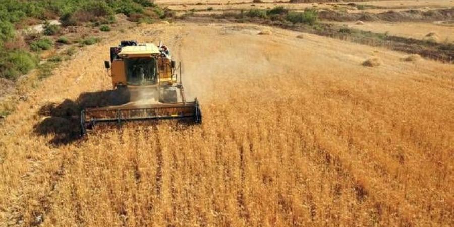 أوكرانيا
      تعلن
      حصاد
      78
      مليون
      طن
      من
      الحبوب
      والبذور
      الزيتية