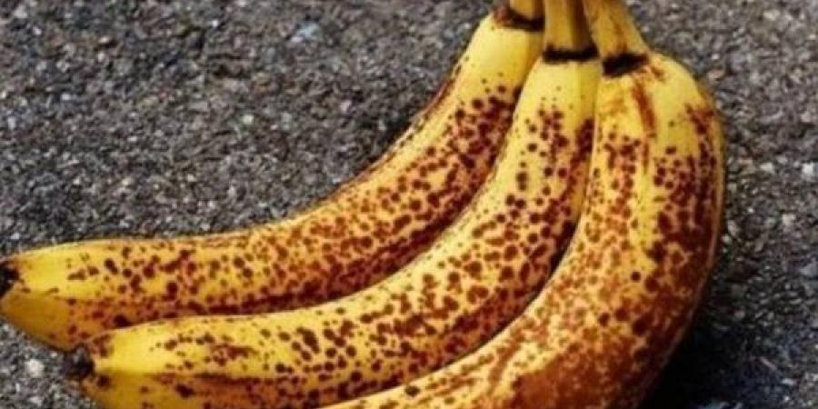 تفسير
      حلم
      الموز
      الفاسد
      في
      المنام
      وعلاقته
      بكسب
      المال
      الحرام