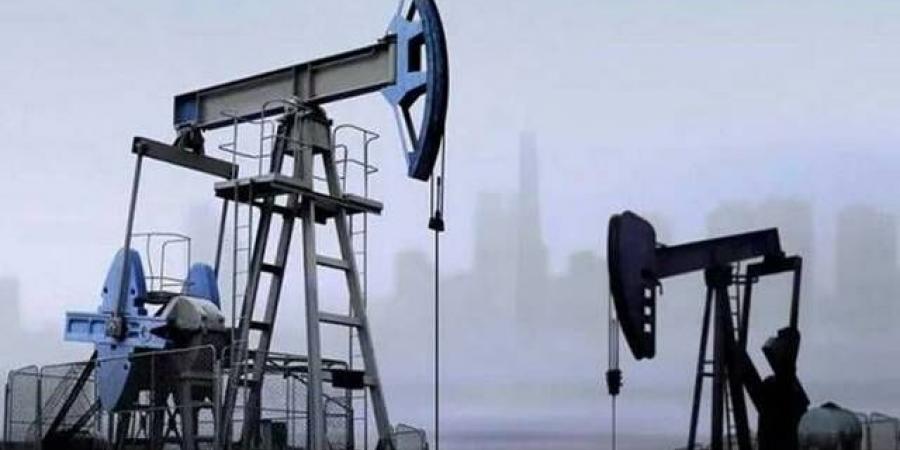 ارتفاع
      النفط
      في
      إغلاق
      الخميس..
      وبرنت
      إلى
      76.60
      دولار