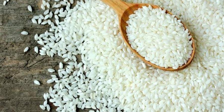 التموين:
      استيراد
      20
      ألف
      طن
      أرز
      هندي
      أبيض
      لتلبية
      احتياجات
      المواطنين