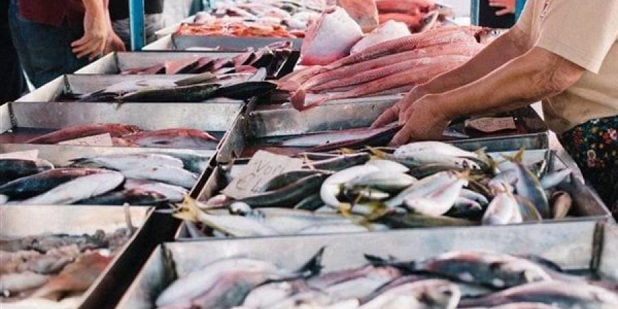 أسعار
      الأسماك
      اليوم،
      ارتفاع
      سعر
      البلطي
      3
      جنيهات
      في
      سوق
      العبور