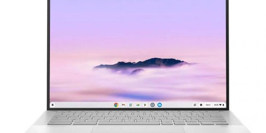 Asus
تطلق
جهاز
ExpertBook
CX54
Chromebook
Plus
بأفضل
المواصفات
