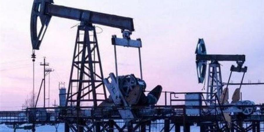 ارتفاع
      أسعار
      النفط
      مع
      تراجع
      الصادرات
      الروسية
      وزيادة
      الهجمات
      في
      البحر
      الأحمر
