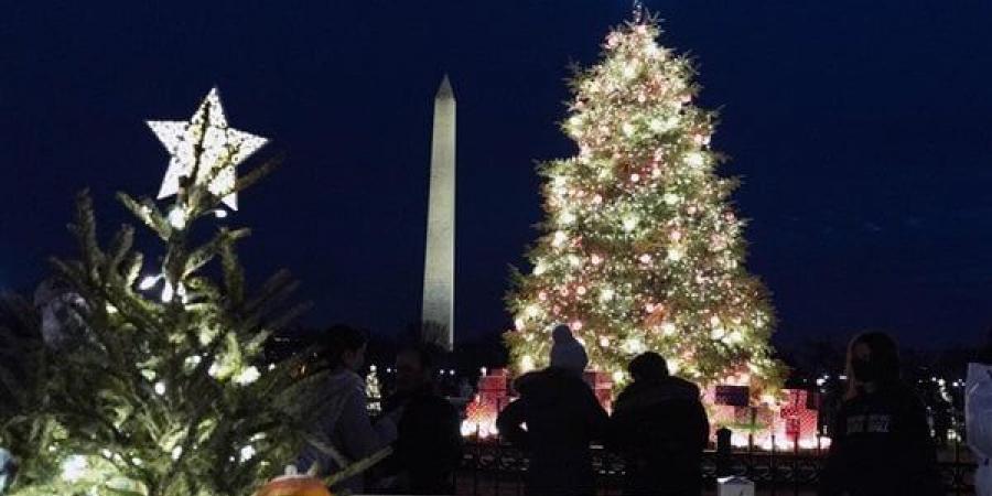 وراءها
      قصة
      والسعر
      مفاجأة،
      عرض
      شجرة
      متواضعة
      لعيد
      الميلاد
      للبيع
      في
      مزاد