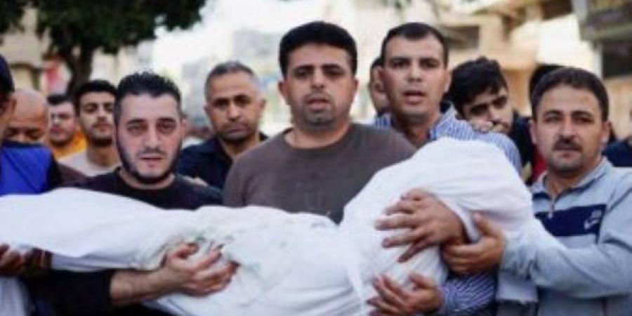 5 شهداء وأكثر من 50 إصابة جراء قصف الاحتلال مناطق فى رفح الفلسطينية