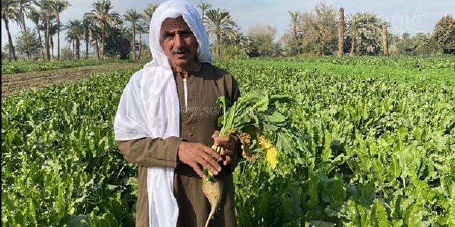 لمواجهة
      أزمة
      السكر،
      بني
      سويف
      تتعاقد
      على
      زراعة
      33
      ألف
      فدان
      بنجر