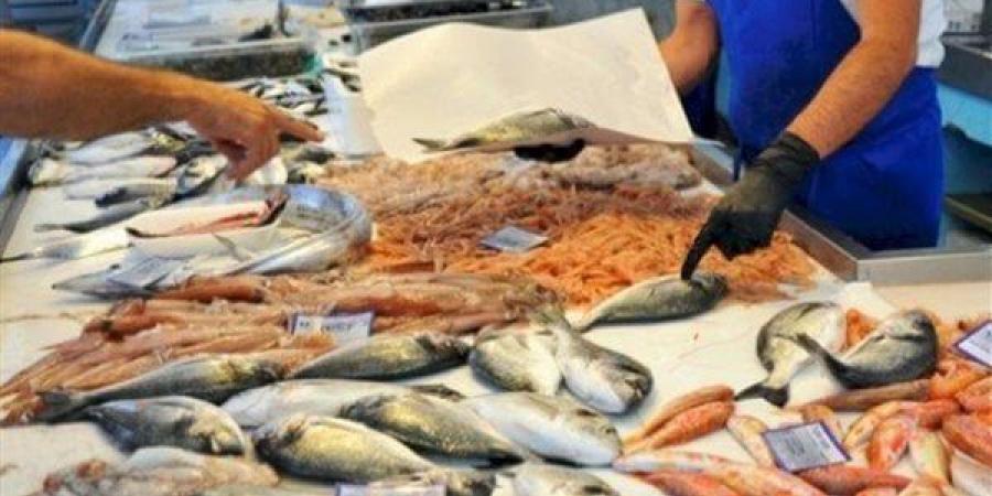 أسعار
      الأسماك
      اليوم،
      سعر
      البلطي
      يرتفع
      3
      جنيهات
      في
      سوق
      العبور