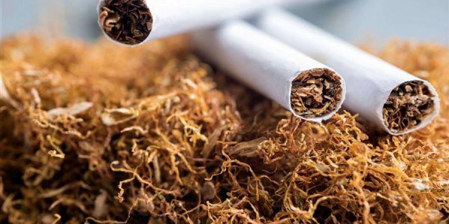 دراسة
      صادمة
      عن
      حجم
      مخلفات
      التبغ
      سنويًا
