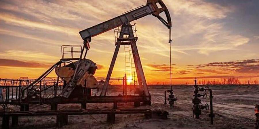 النفط
      يحافظ
      على
      مكاسبه
      الأسبوعية
      مع
      استمرار
      توترات
      الشحن