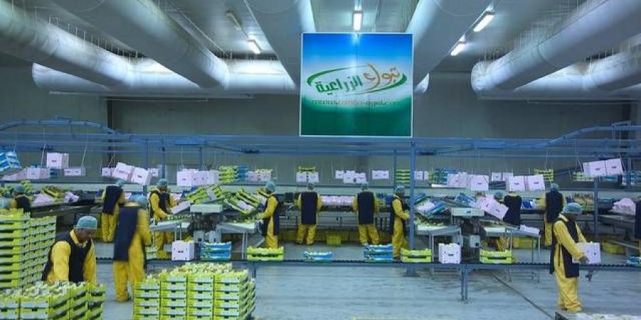 مساهمو
      "تبوك
      الزراعية"
      يرفضون
      بيع
      حصصها
      في
      شركة
      "مصادر
      الأعلاف"