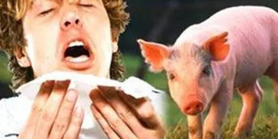 أنفلونزا
      الخنازير
      تنتشر
      في
      مصر
      "حقيقة
      أم
      شائعات؟"
      الحكومة
      تُجيب
