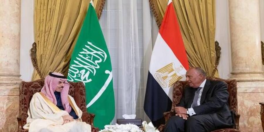 وزير
      الخارجية
      يؤكد
      حرص
      السعودية
      على
      تعزيز
      التجارة
      وتقوية
      العلاقات
      مع
      مصر