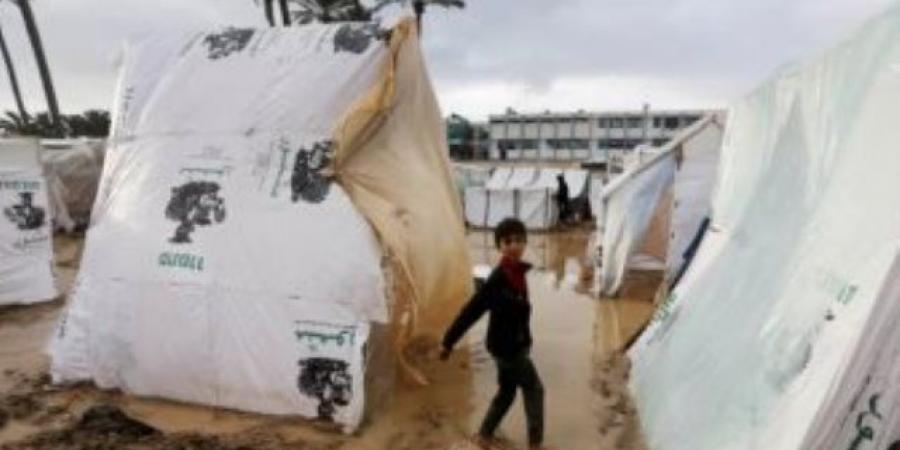 المجاعة تلوح فى الأفق.. CNN: الفلسطينيون يأكلون العشب ويشربون مياه ملوثة