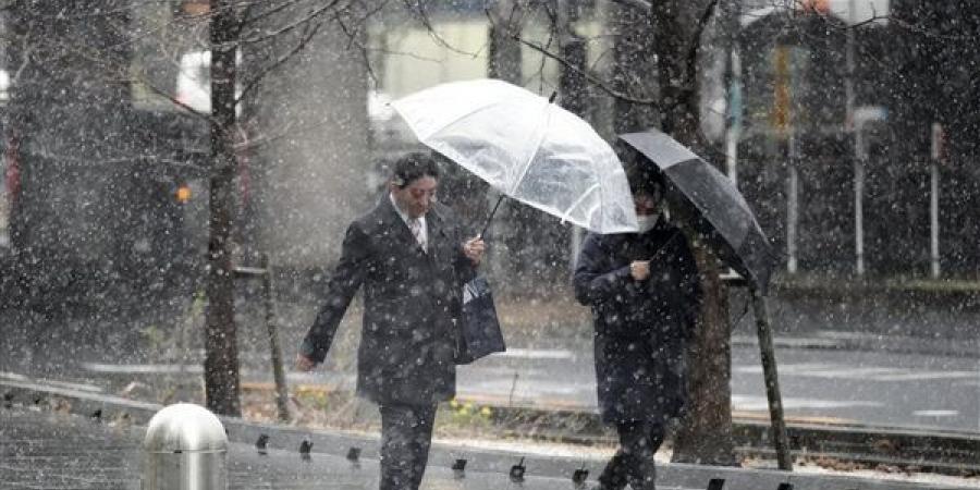 الأرصاد
      اليابانية
      تصدر
      تحذيرا
      من
      عواصف
      ثلجية
      في
      طوكيو