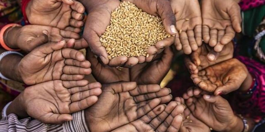مسؤول
      أممي:
      عودة
      ارتفاع
      نسب
      الجوع
      في
      العالم
      تمثل
      عائقاً
      كبيراً
      أمام
      التنمية