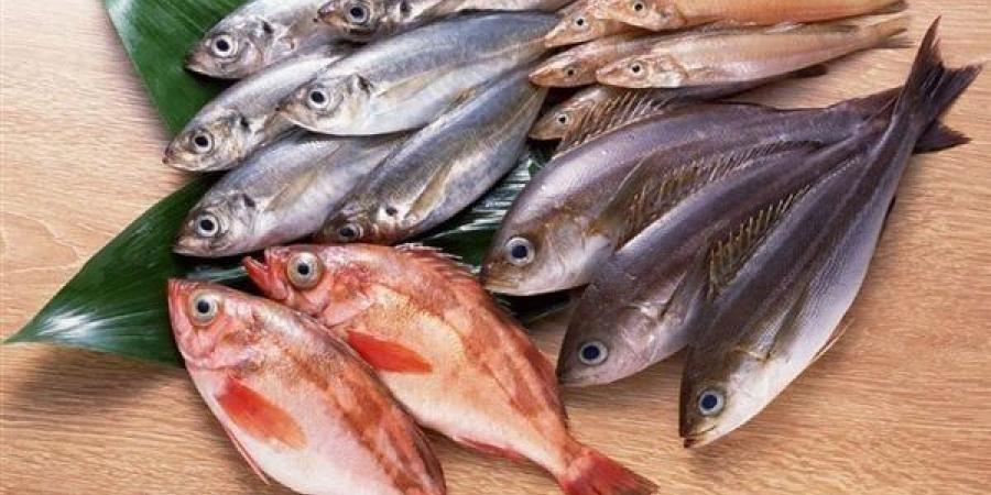 أسعار
      الأسماك
      اليوم،
      البلطي
      يرتفع
      في
      سوق
      العبور