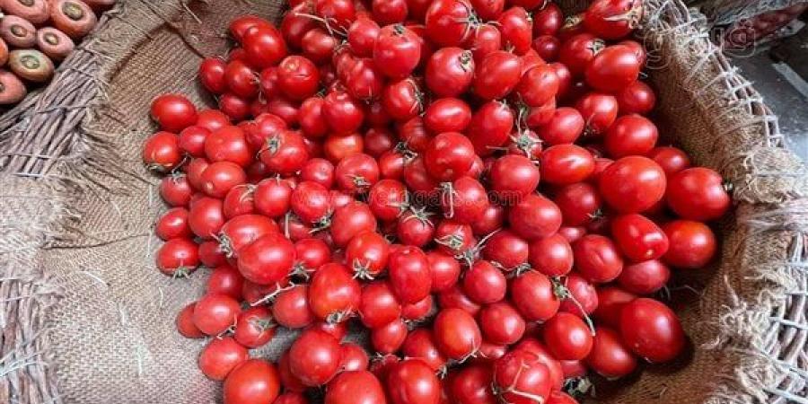 أسعار
      الخضراوات
      اليوم،
      انخفاض
      الطماطم
      والبطاطس
      وارتفاع
      الثوم
      في
      سوق
      العبور