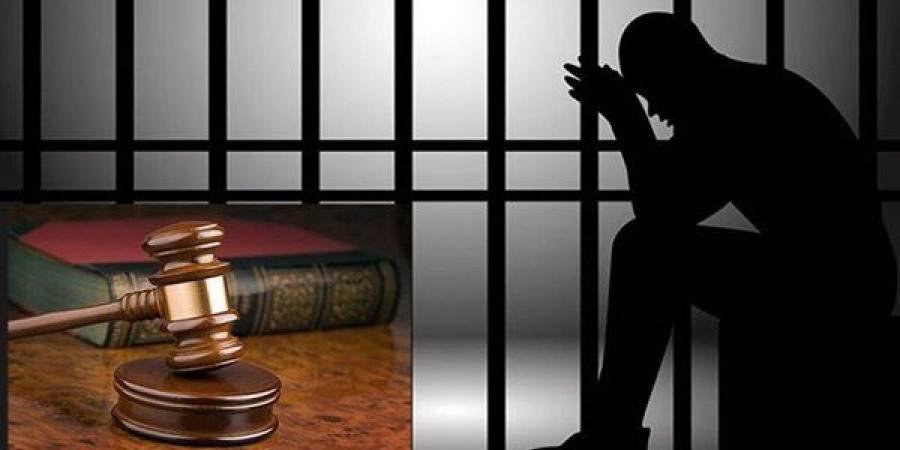 إخلاء سبيل نجل رئيس حزب شعب مصر و11 آخرين علي خلفية مشاجرة أموال الانتخابات في مقرالحزب