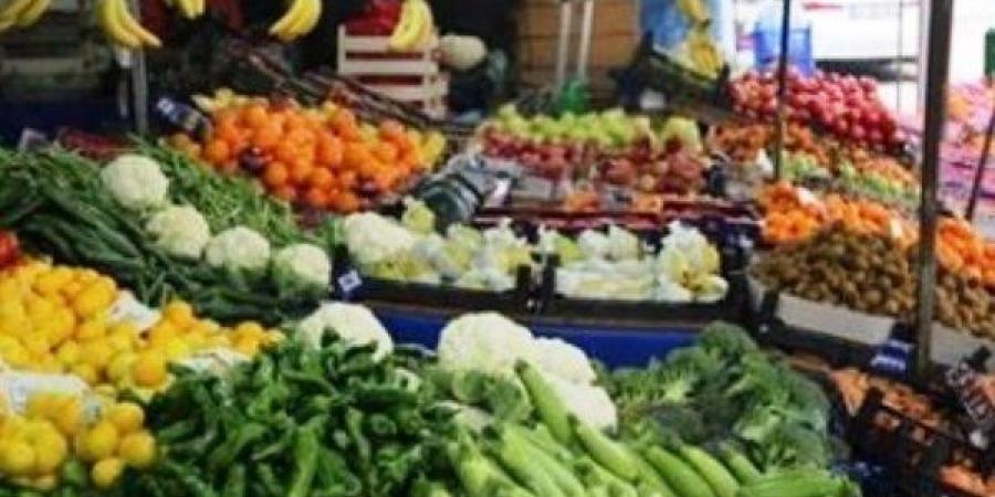 ربع جنيه .. شعبة الخضر والفاكهة تكشف تأثير زيادة البنزين على الأسعار