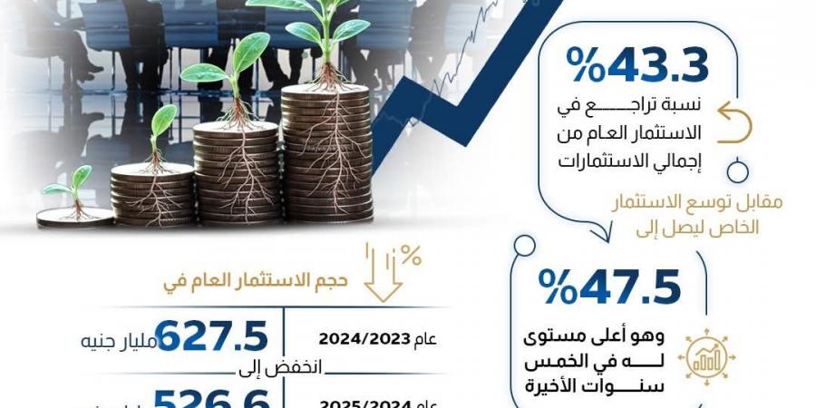 انفوجراف.. التحول الهيكلي في خريطة الاستثمارات