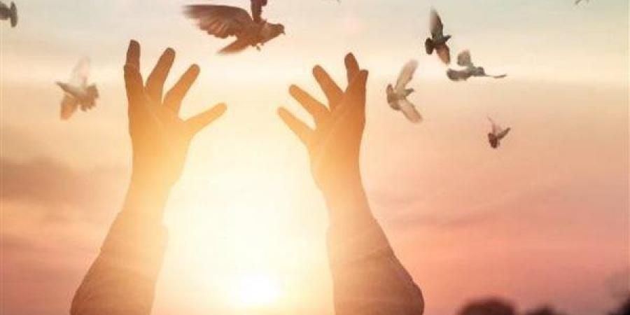 معنى كلمة الحمد لله.. علي جمعة يوضح