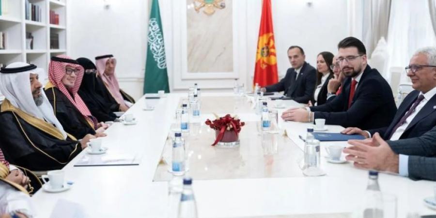 وفد من مجلس الشورى يلتقي رئيس برلمان جمهورية الجبل الأسود - المساء الاخباري