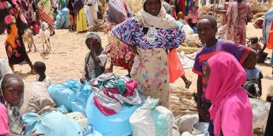 مصر ترفض الكيانات الموازية في السودان وتواصل جهودها لدعم التهدئة